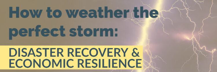 How to Weather the Perfect Storm: Natural Disasters & Economic Resilience